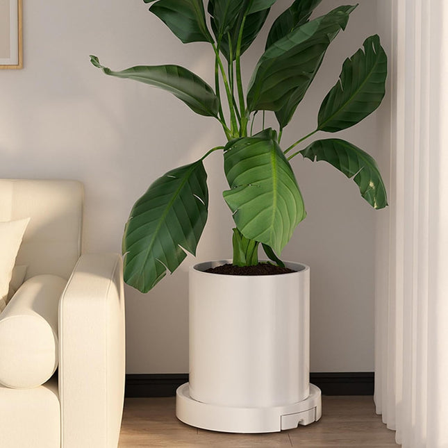 CARLA HOME Rolling Plant Stand with 360¬∞ Wheels for Indoor Pots (26 cm) - Petal & Stem