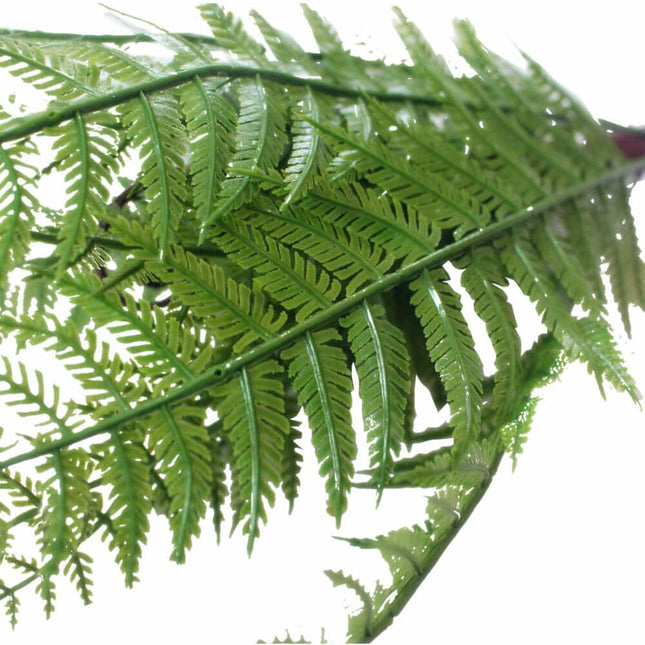 Dark Fern Stem UV Resistant 38cm - Petal & Stem