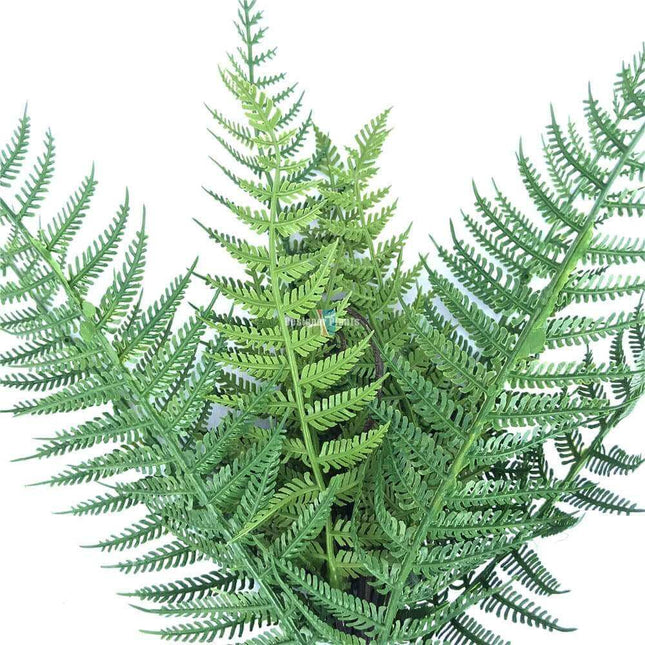 Dark Fern Stem UV Resistant 38cm - Petal & Stem