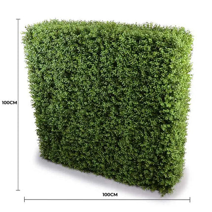 Deluxe Portable Buxus Hedge UV Resistant 100cm Long x 100cm High - Petal & Stem