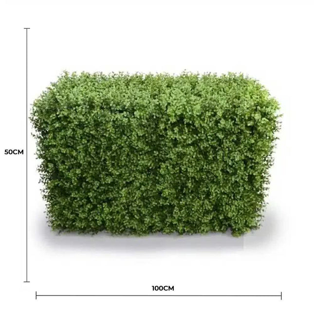 Deluxe Portable Buxus Hedge UV Resistant 100cm Long x 50cm High - Petal & Stem