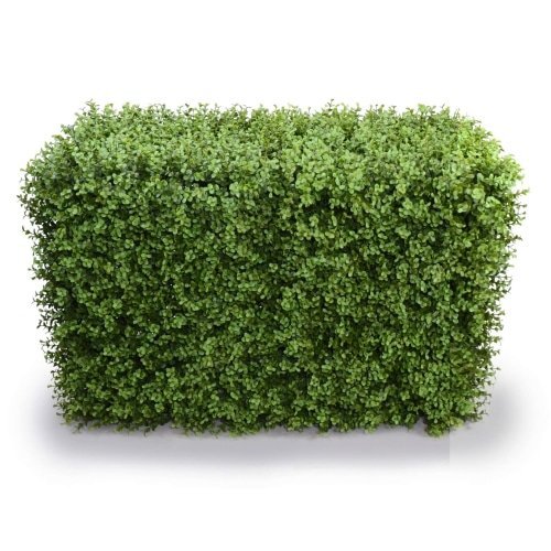 Deluxe Portable Buxus Hedge UV Resistant 100cm Long x 50cm High - Petal & Stem