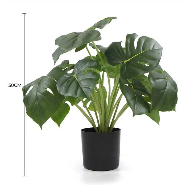 Dense Potted Artificial Monstera Deliciosa Plant With Real Touch Leaves 50cm - Petal & Stem