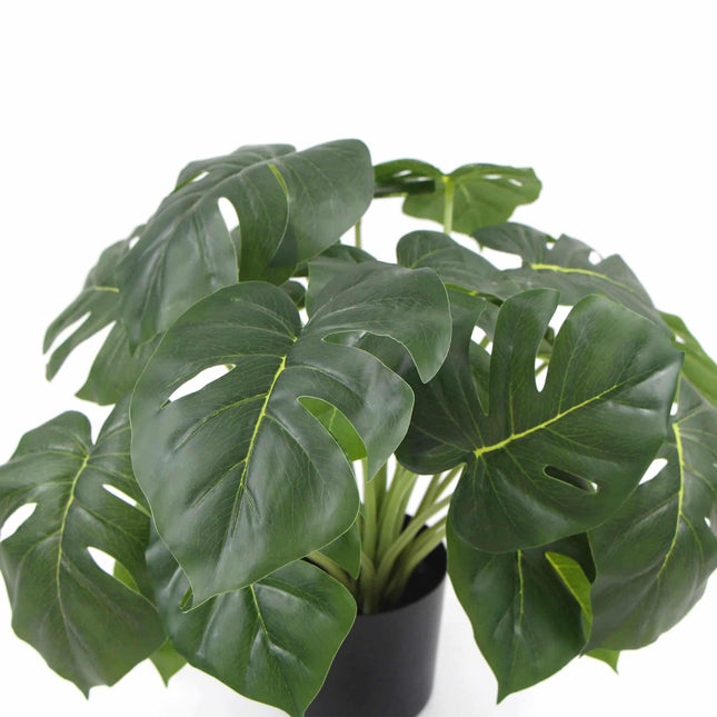 Dense Potted Artificial Monstera Deliciosa Plant With Real Touch Leaves 50cm - Petal & Stem