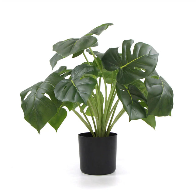 Dense Potted Artificial Monstera Deliciosa Plant With Real Touch Leaves 50cm - Petal & Stem