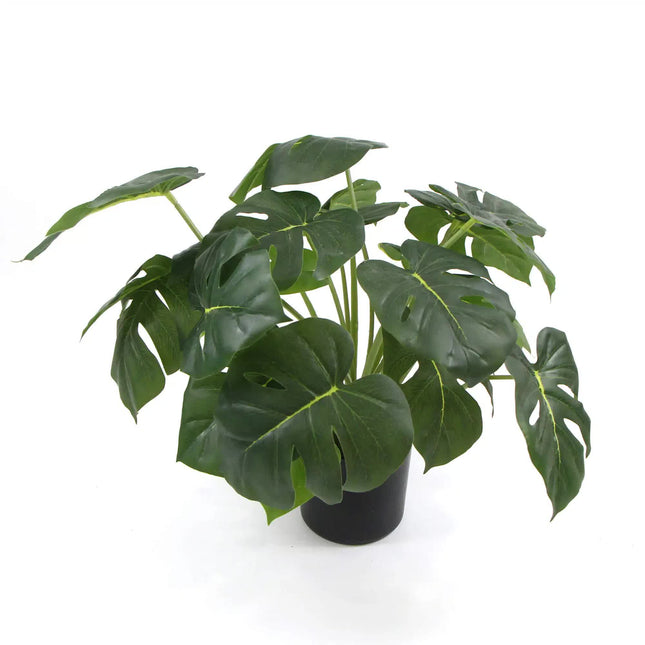 Dense Potted Artificial Monstera Deliciosa Plant With Real Touch Leaves 50cm - Petal & Stem