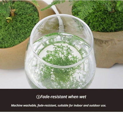 DIY artificial moss lawn Dark Green Filamentous Moss 1000g (Bulk) - Petal & Stem