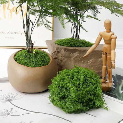DIY artificial moss lawn Dark Green Filamentous Moss 1000g (Bulk) - Petal & Stem