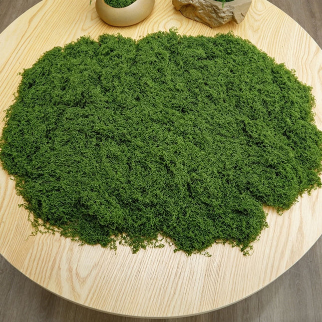 DIY artificial moss lawn Dark Green Filamentous Moss 100g - Petal & Stem