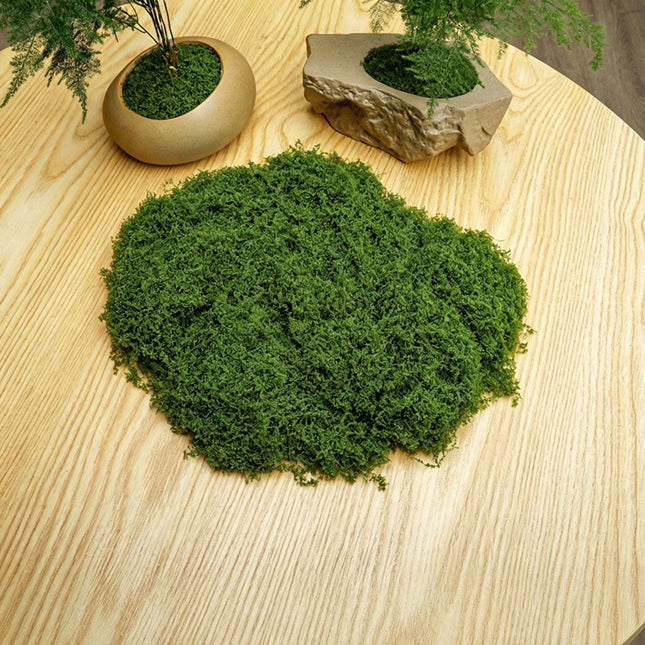 DIY artificial moss lawn Dark Green Filamentous Moss 20g - Petal & Stem