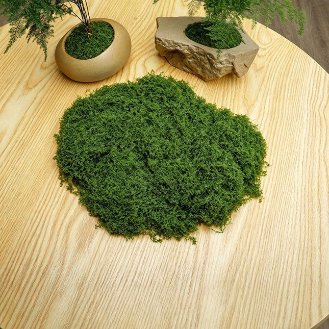 DIY artificial moss lawn Dark Green Filamentous Moss 30g - Petal & Stem