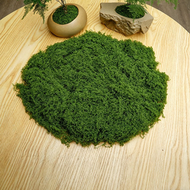 DIY artificial moss lawn Dark Green Filamentous Moss 50g - Petal & Stem