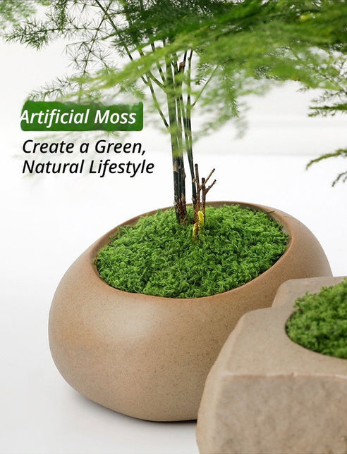 DIY artificial moss lawn Light Green Filamentous Moss 20g - Petal & Stem