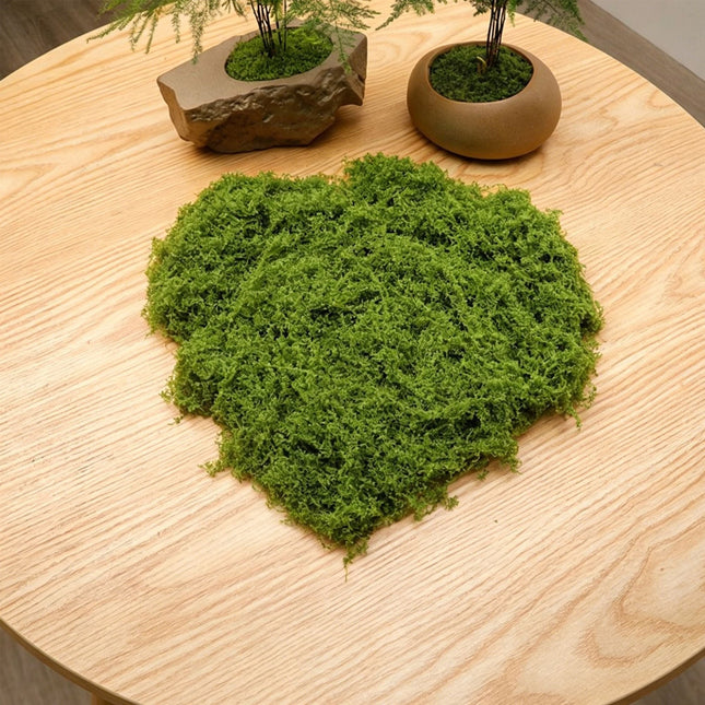 DIY artificial moss lawn Light Green Filamentous Moss 20g - Petal & Stem
