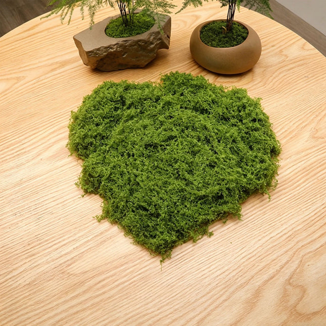 DIY artificial moss lawn Light Green Filamentous Moss 30g - Petal & Stem