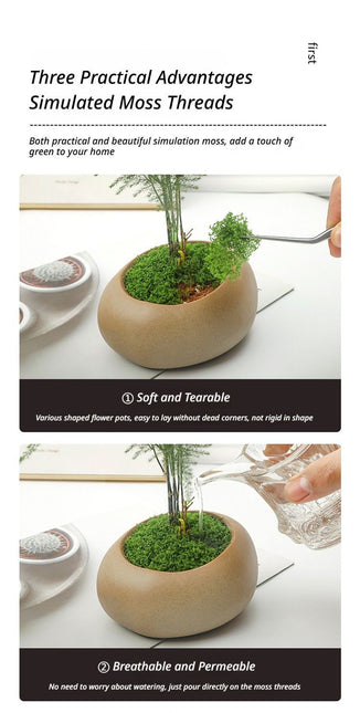 DIY artificial moss lawn Light Green Filamentous Moss 30g - Petal & Stem