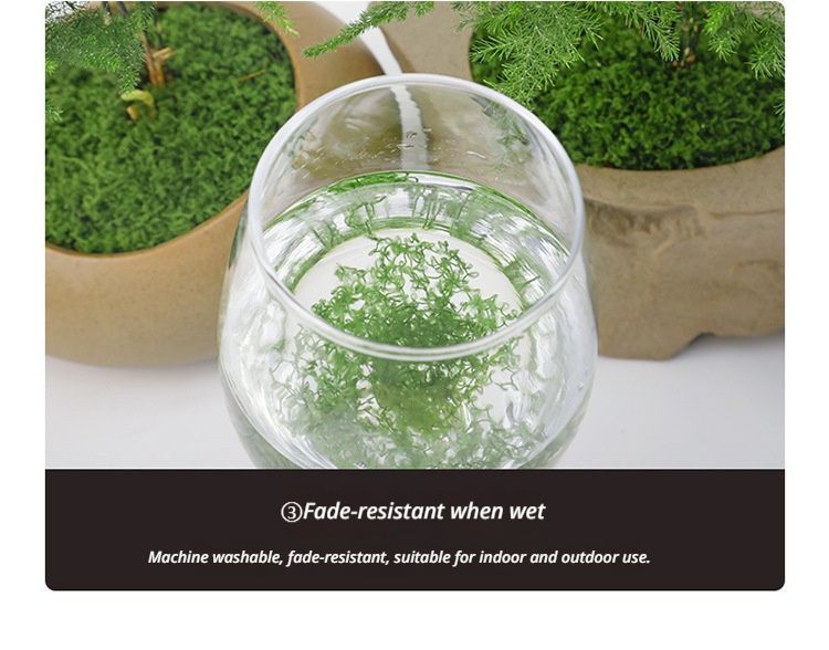 DIY artificial moss lawn Light Green Filamentous Moss 30g - Petal & Stem