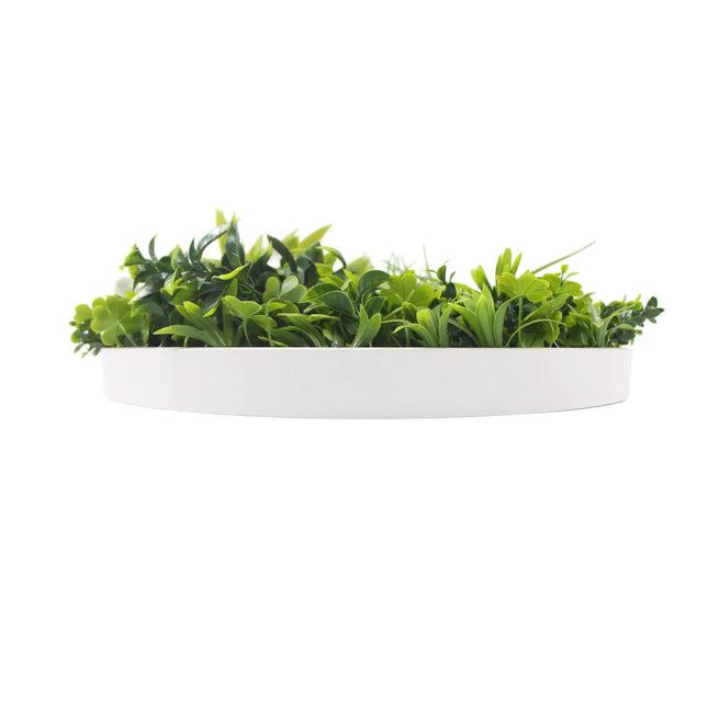 Flowering White Artificial Green Wall Disc UV Resistant 75cm (White Frame) - Petal & Stem