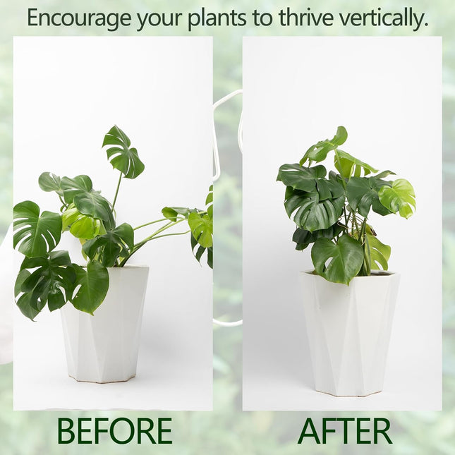Gold Indoor Plant Stand for Climbing Plants Plant Support Holder - Petal & Stem