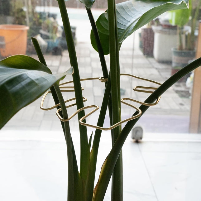Gold Indoor Plant Stand for Climbing Plants Plant Support Holder - Petal & Stem