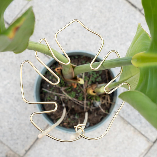Gold Indoor Plant Stand for Climbing Plants Plant Support Holder - Petal & Stem