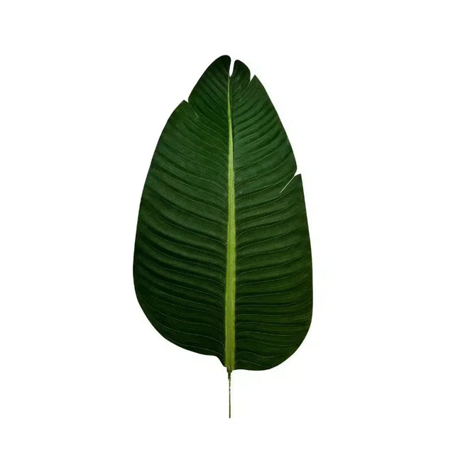 Grand Artificial Potted Travellers Palm (Banana Palm Tree) 180cm - Petal & Stem