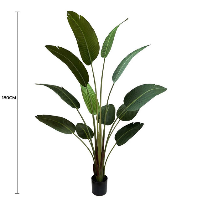 Grand Artificial Potted Travellers Palm (Banana Palm Tree) 180cm - Petal & Stem