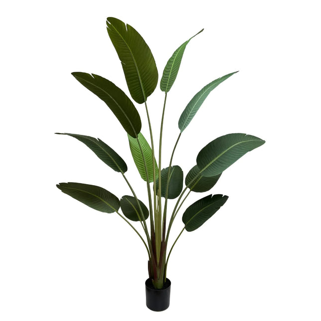 Grand Artificial Potted Travellers Palm (Banana Palm Tree) 180cm - Petal & Stem