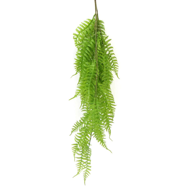 Hanging Fresh Green Boston Fern UV Resistant 80cm - Petal & Stem