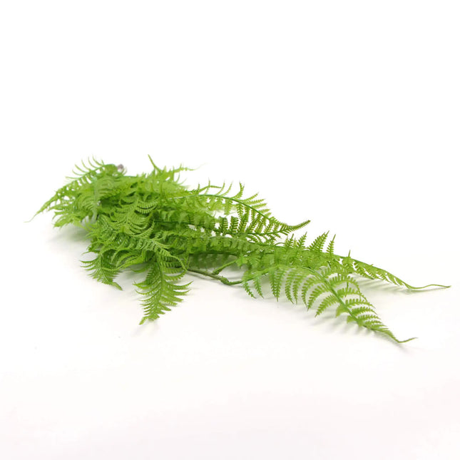 Hanging Fresh Green Boston Fern UV Resistant 80cm - Petal & Stem