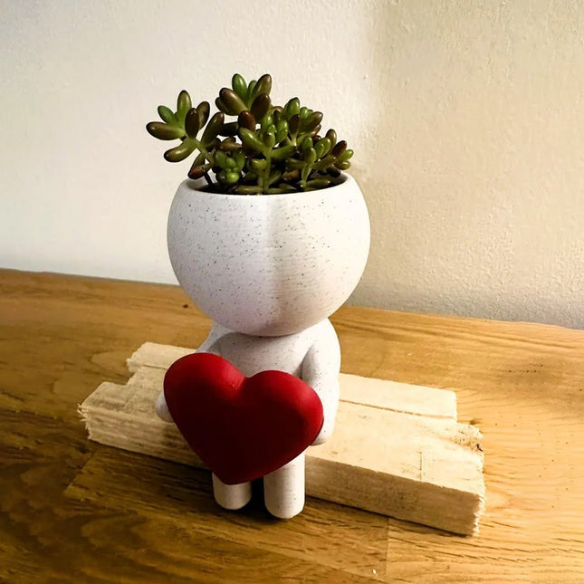 Home Decor Succulent Air Planter Stand,Air Plant holder, Air Plant Lover Gift Desk Decor - Petal & Stem
