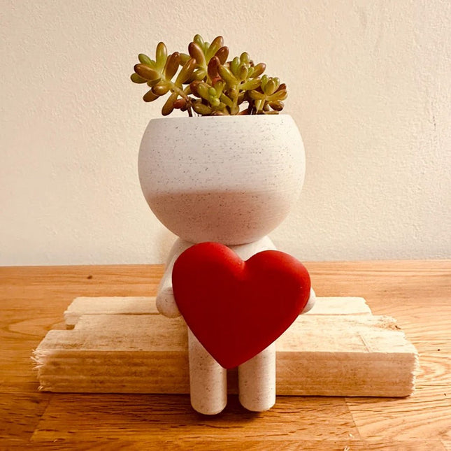 Home Decor Succulent Air Planter Stand,Air Plant holder, Air Plant Lover Gift Desk Decor - Petal & Stem
