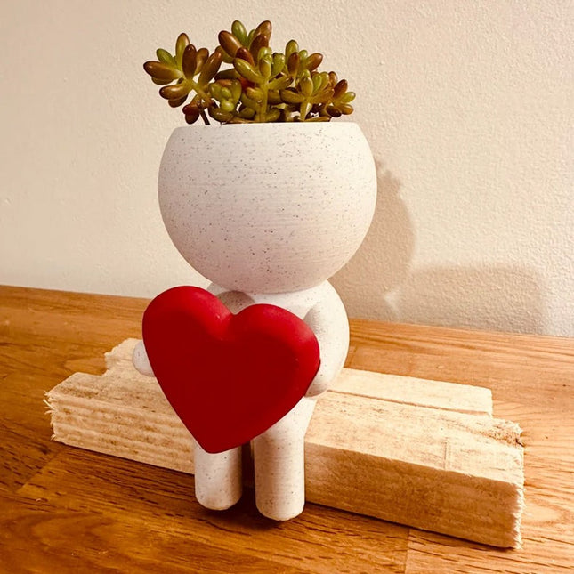 Home Decor Succulent Air Planter Stand,Air Plant holder, Air Plant Lover Gift Desk Decor - Petal & Stem