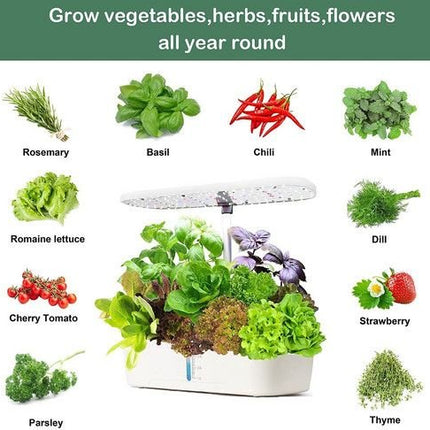 Hydroponics Plant Growing System 12 Pods Indoor Herb Garden Kit Led Light 4L WHITE - Petal & Stem
