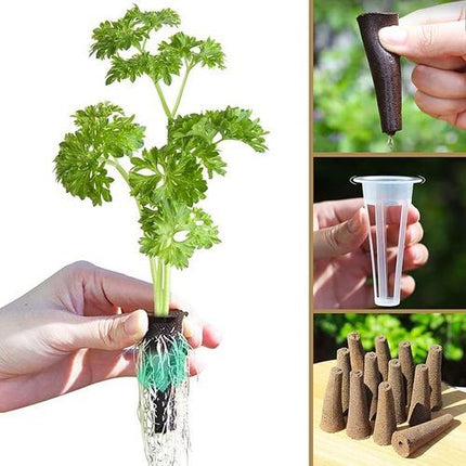 Hydroponics Plant Growing System 12 Pods Indoor Herb Garden Kit Led Light 4L WHITE - Petal & Stem