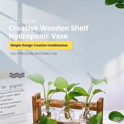 HydroponicWoodenFramewithSnap On Diamond Single Bottle - Petal & Stem