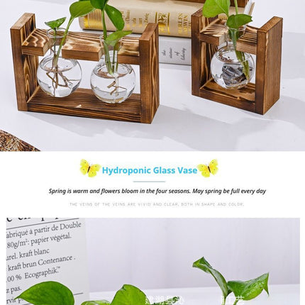 HydroponicWoodenFramewithSnap On Diamond Single Bottle - Petal & Stem