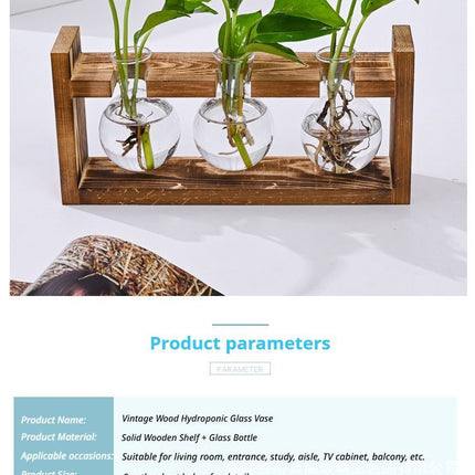 HydroponicWoodenFramewithSnap On Diamond Single Bottle - Petal & Stem