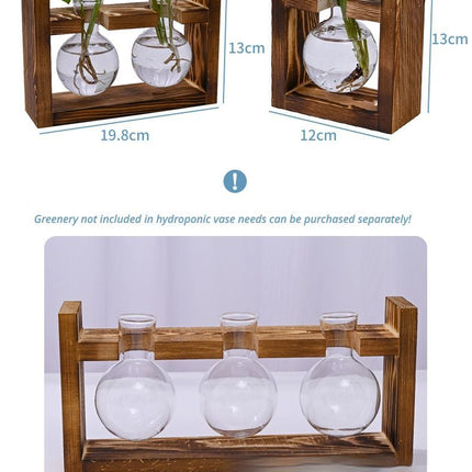 HydroponicWoodenFramewithSnap On Diamond Single Bottle - Petal & Stem