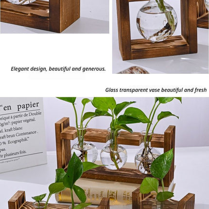HydroponicWoodenFramewithSnap On Diamond Single Bottle - Petal & Stem