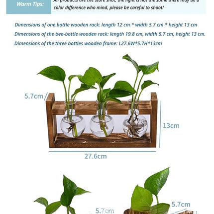 HydroponicWoodenFramewithSnap On Diamond Single Bottle - Petal & Stem
