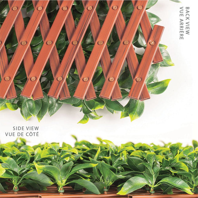 Jasmine Artificial Hedge Extendable Trellis / Screen 2 Meter By 1 Meter UV Resistant (PVC) - Petal & Stem