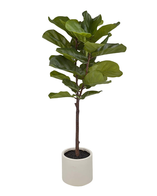 Large Artificial Fiddleleaf Tree in Pot 130cm - Petal & Stem