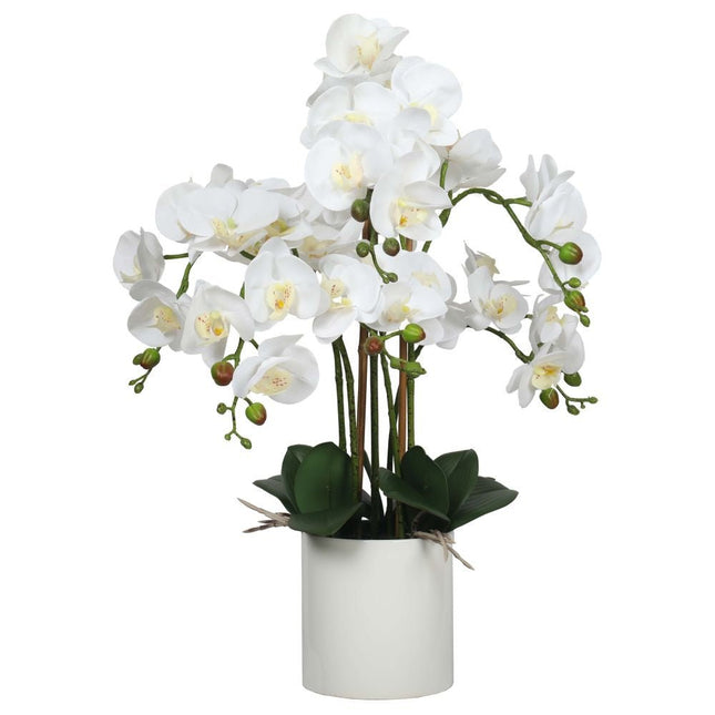 Large Multi Stem White Potted Faux Orchid 65cm - Petal & Stem