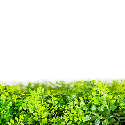 Mediterranean Fern Vertical Garden / Green Wall UV Resistant 1m x 1m - Petal & Stem