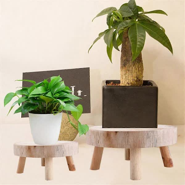 Mini Wooden Pallet Display Plant Stand Decorative Wooden Plant Pallet Bonsai Holder for Indoor Outdoor Home Garden C - Petal & Stem