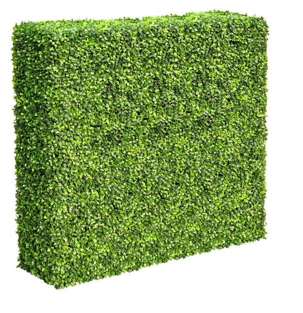 Mixed Boxwood Hedge UV Resistant 100cm Long x 100cm High - Petal & Stem