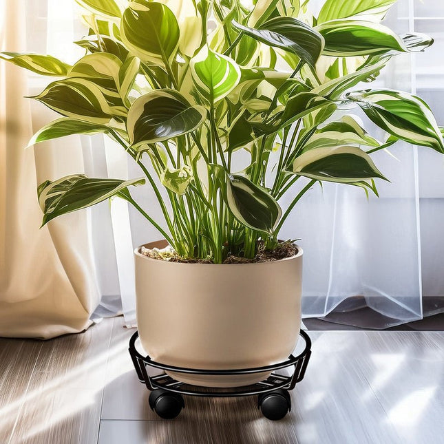 Movable Iron Potted Plant Stand for Home Garden Decoration Black - Petal & Stem