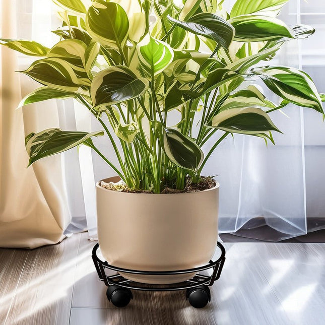Movable Iron Potted Plant Stand for Home Garden Decoration Black - Petal & Stem