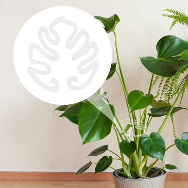 Plant Stands Acrylic Plant Stands for Indoor and Outdoor Use 20 Pieces - Petal & Stem